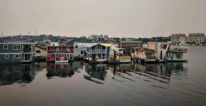 39714715_10212594115678379_6541473708521816064_n (1)