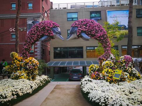 24909731_10210685448562894_12424366708472660_n