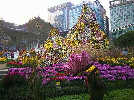 24991202_10210685338880152_4554310511630407695_n