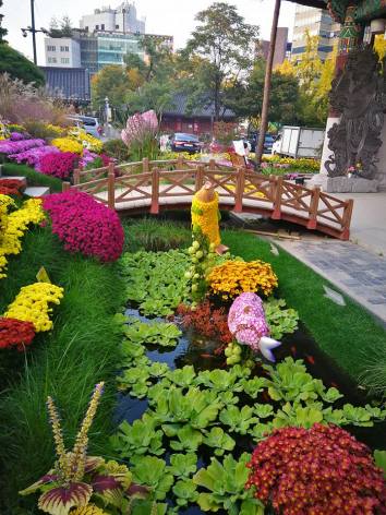 24993271_10210685426522343_1581863476894966099_n