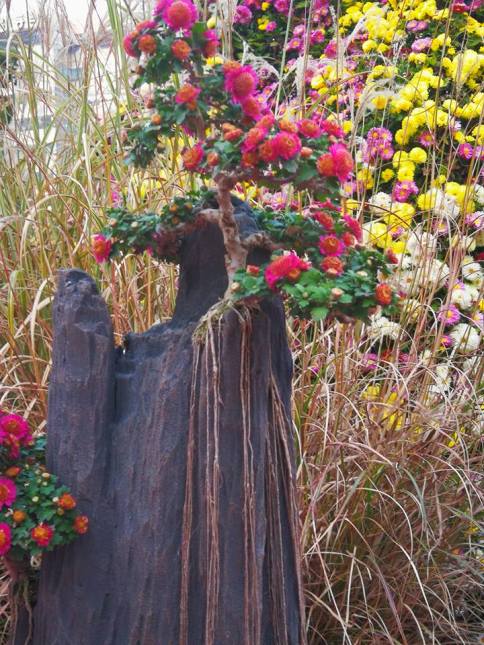 25158132_10210685454123033_3356763983600437279_n